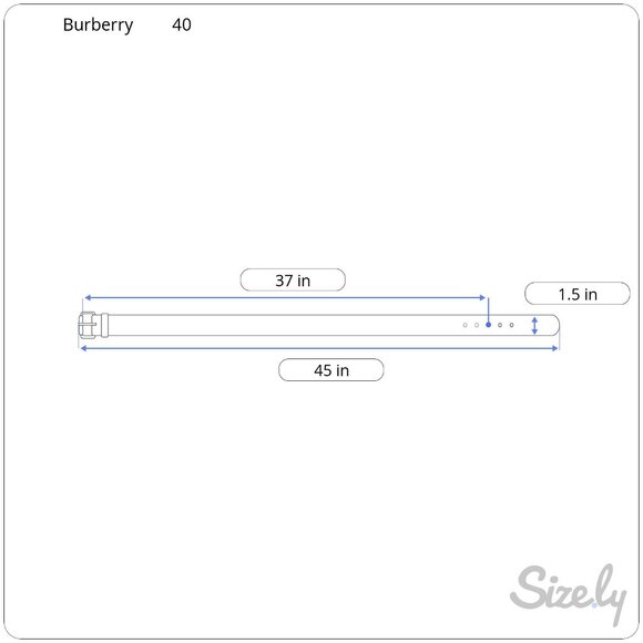 Burberry Women's Checkered Belt Size 40 Leather & Canvas Burgundy & Beige - Picture 7 of 7